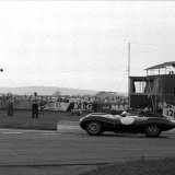 RB 299 - Jaguar D - Bob Berry