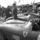 RG 876 - Flock of Ferraris