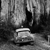 RG 108 - 306 Weikkola, Puustinen - Citroen ID19