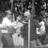 RD 439 - Pietro Taruffi