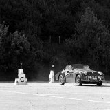 RG 799 - 14 Michalkiewic - Triumph TR3